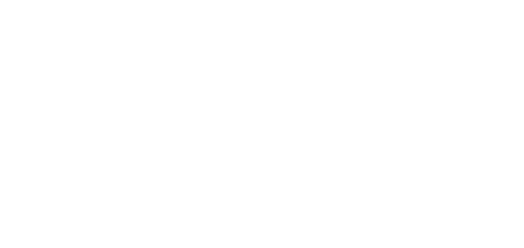 Origins of the LEI system